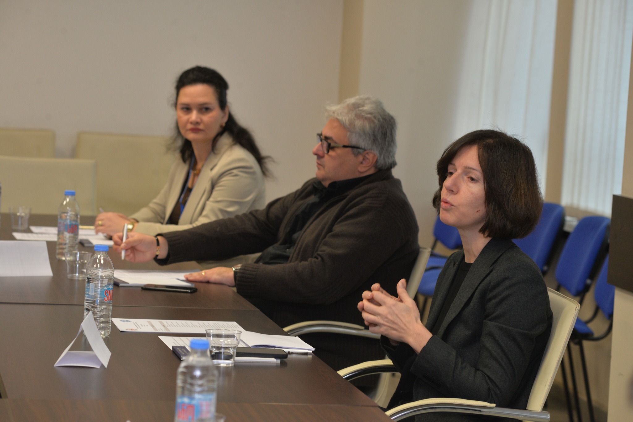 საჯარო აუდიტის ინსტიტუტმა აზერბაიჯანის საანგარიშო პალატას სასწავლო პროგრამებზე გამოცდილება გაუზიარა.